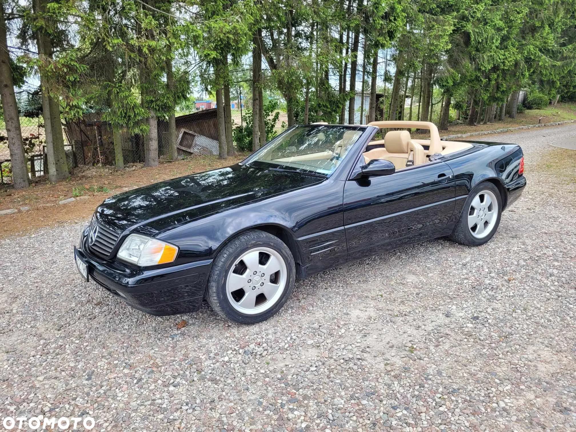 Mercedes-Benz SL - 19