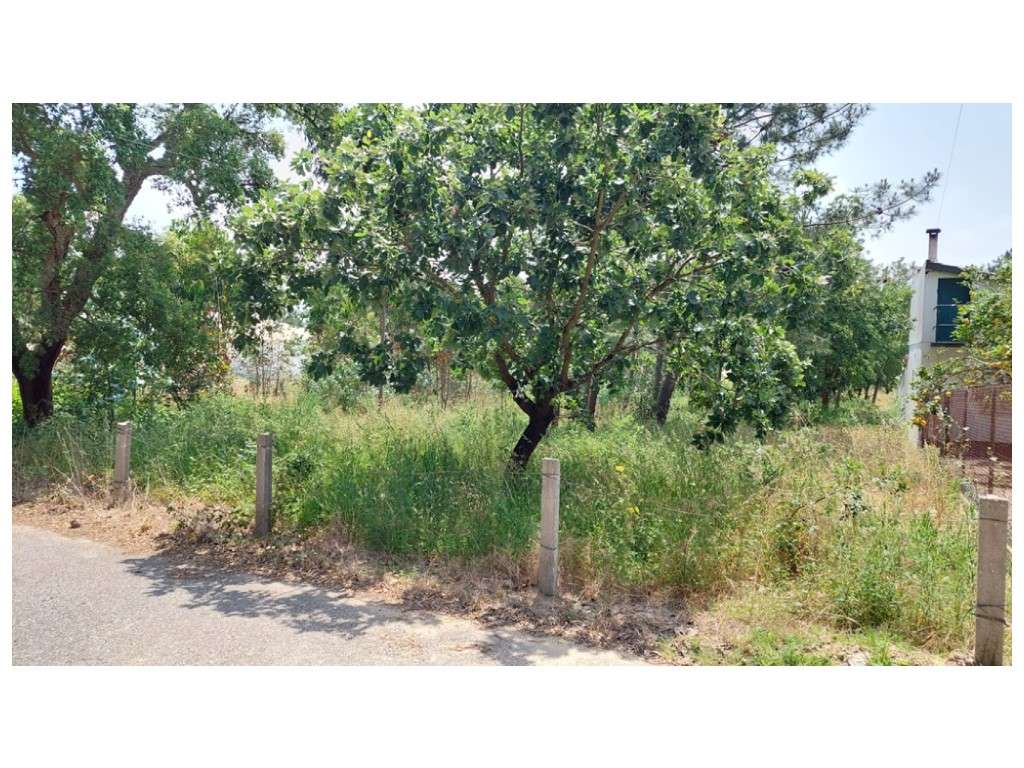 Terrenos para construção na vila de Monte Real - Grande imagem: 3/10