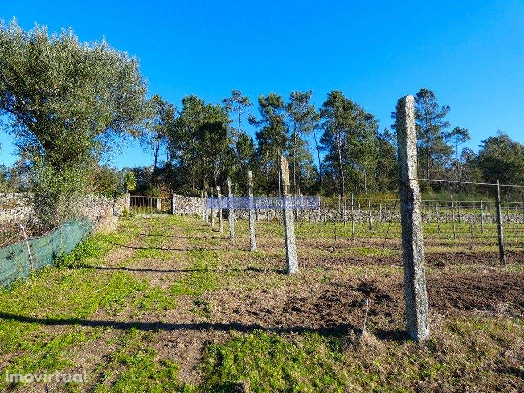 60.000m2 Terreno, Floresta, Casa, Capela, Edifícios, em Barcelos. P... - Grande imagem: 5/9
