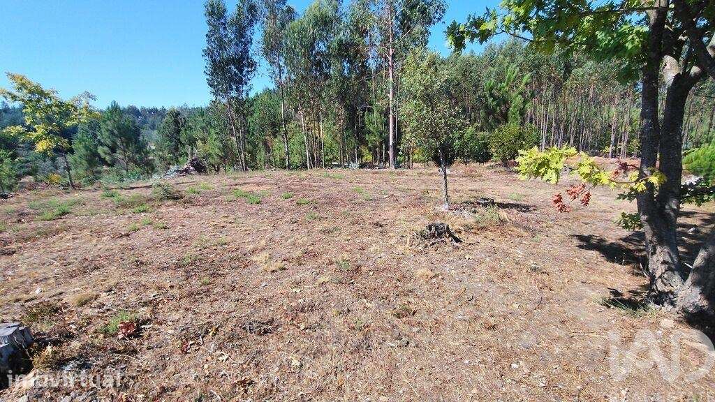 Terreno em Vila Facaia - Grande imagem: 5/15