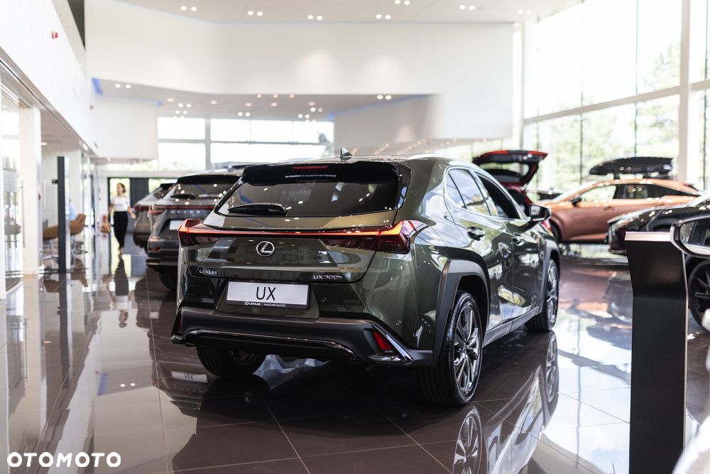 Lexus UX 300h F Sport Design - 8
