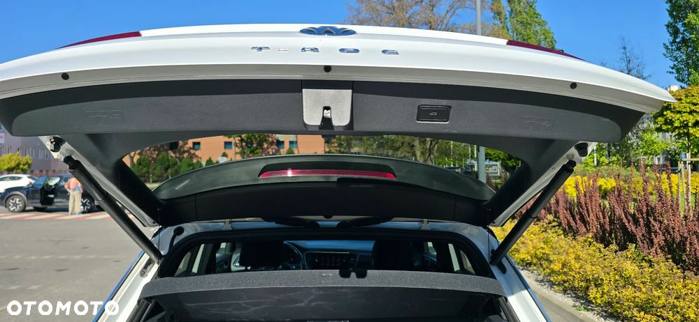 Volkswagen T-Roc - 17
