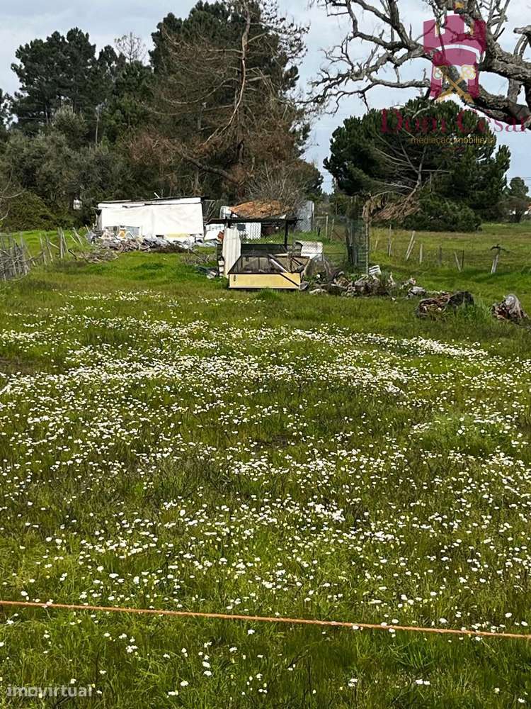 Terreno 1480 m2 - Glória do Ribatejo - Salvaterra de Magos - Grande imagem: 2/4
