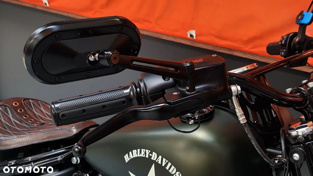Harley-Davidson Softail - 15