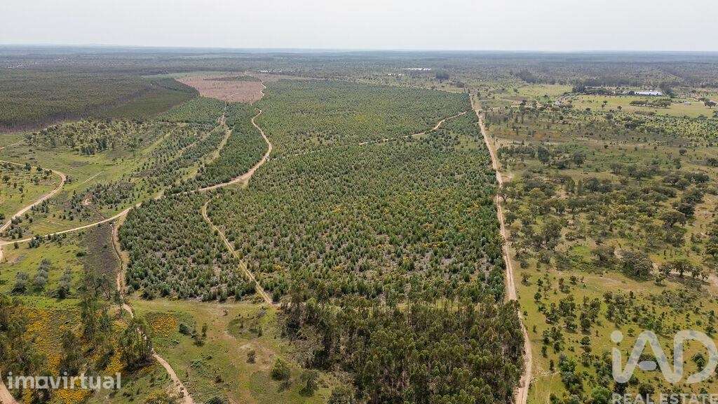Terreno Agrícola em Bemposta - Grande imagem: 2/31