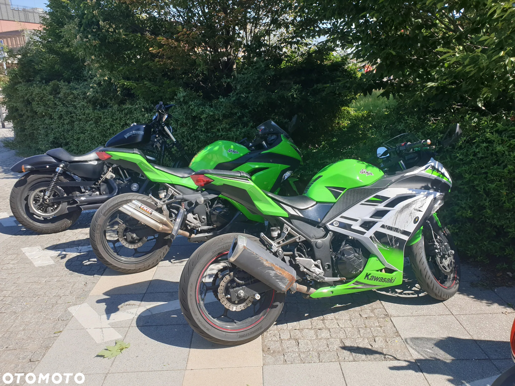 Kawasaki Ninja 300 ABS - 13