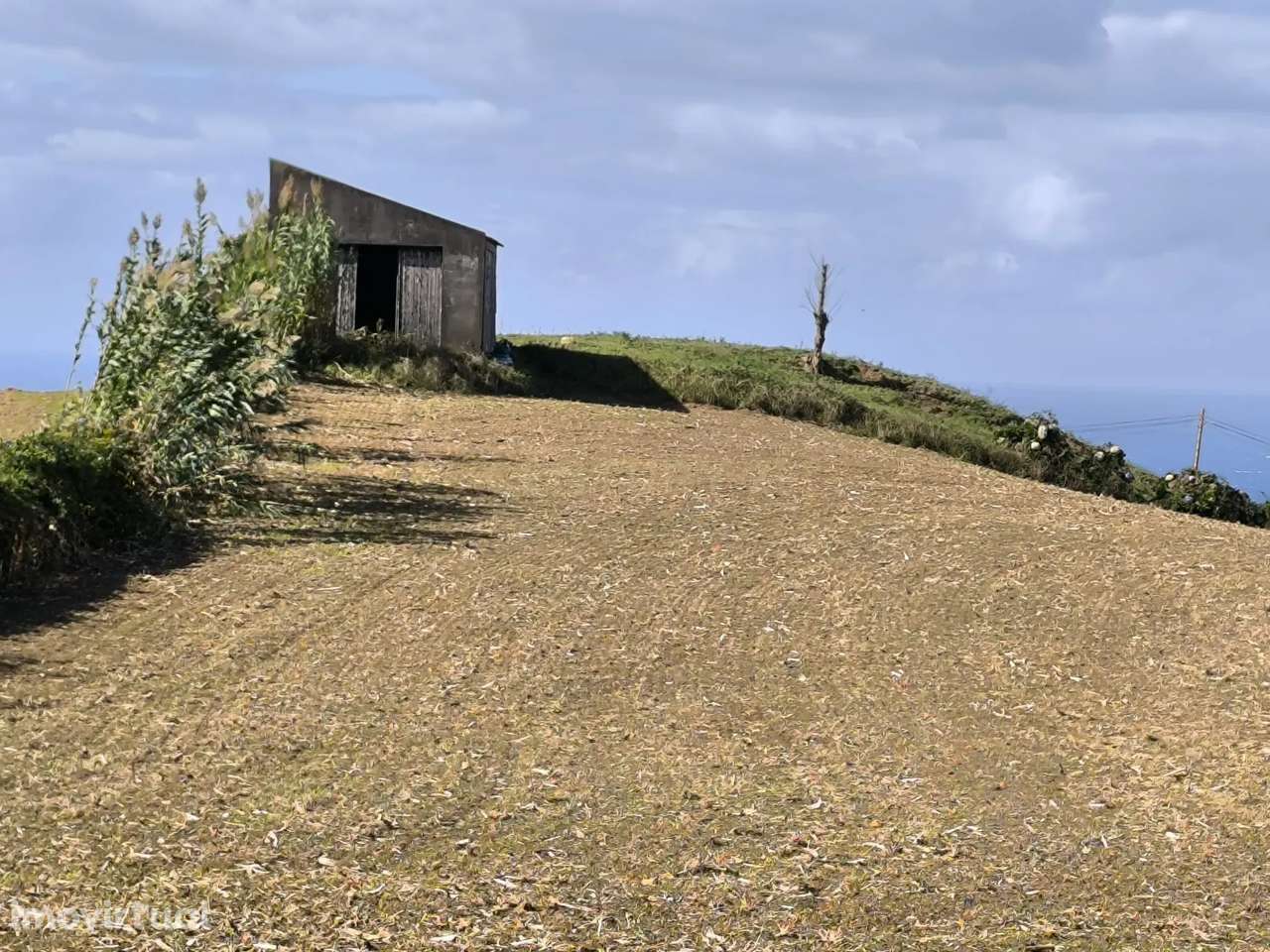 Terreno Agrícola com Viabilidade de Construção - Grande imagem: 2/7