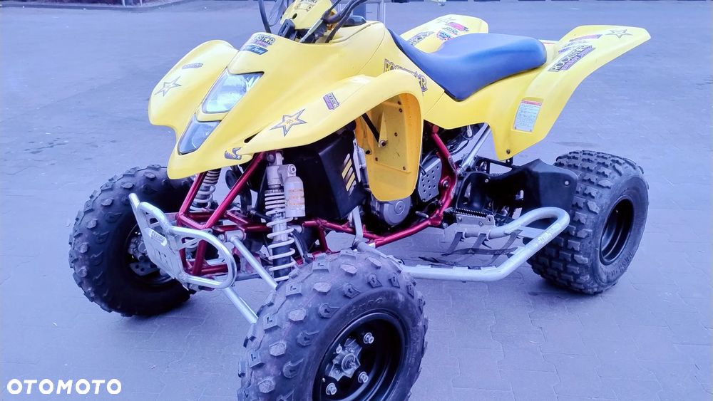 Kawasaki Brute Force - 16