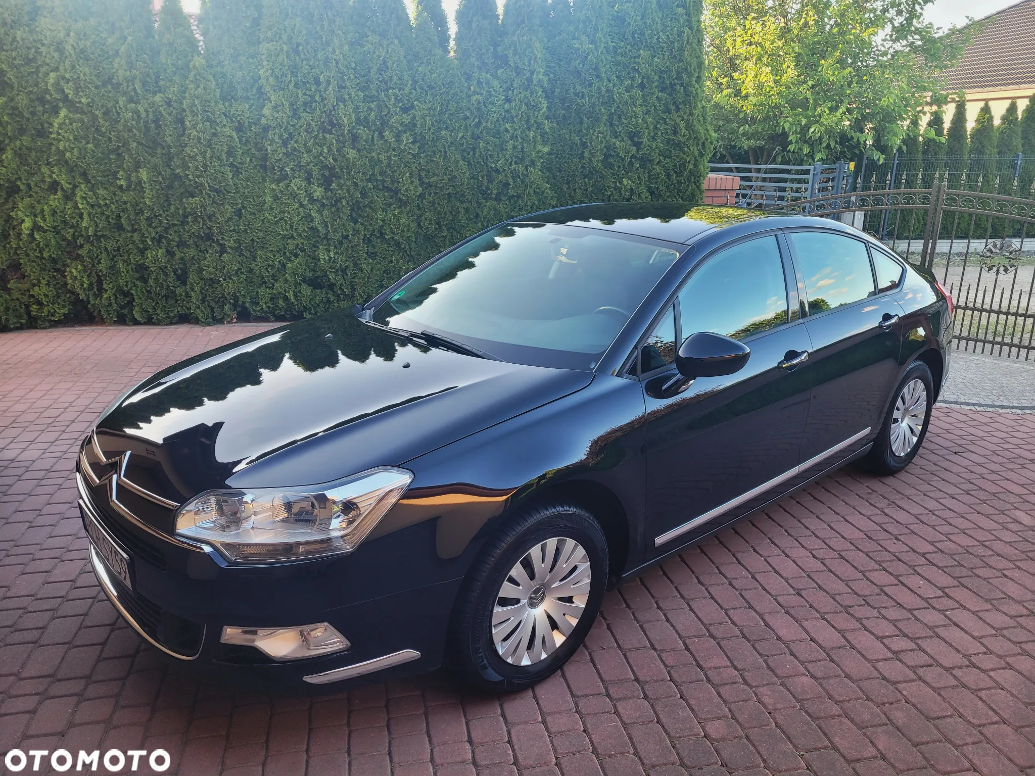 Citroën C5 2.0i 16V Dynamique - 2