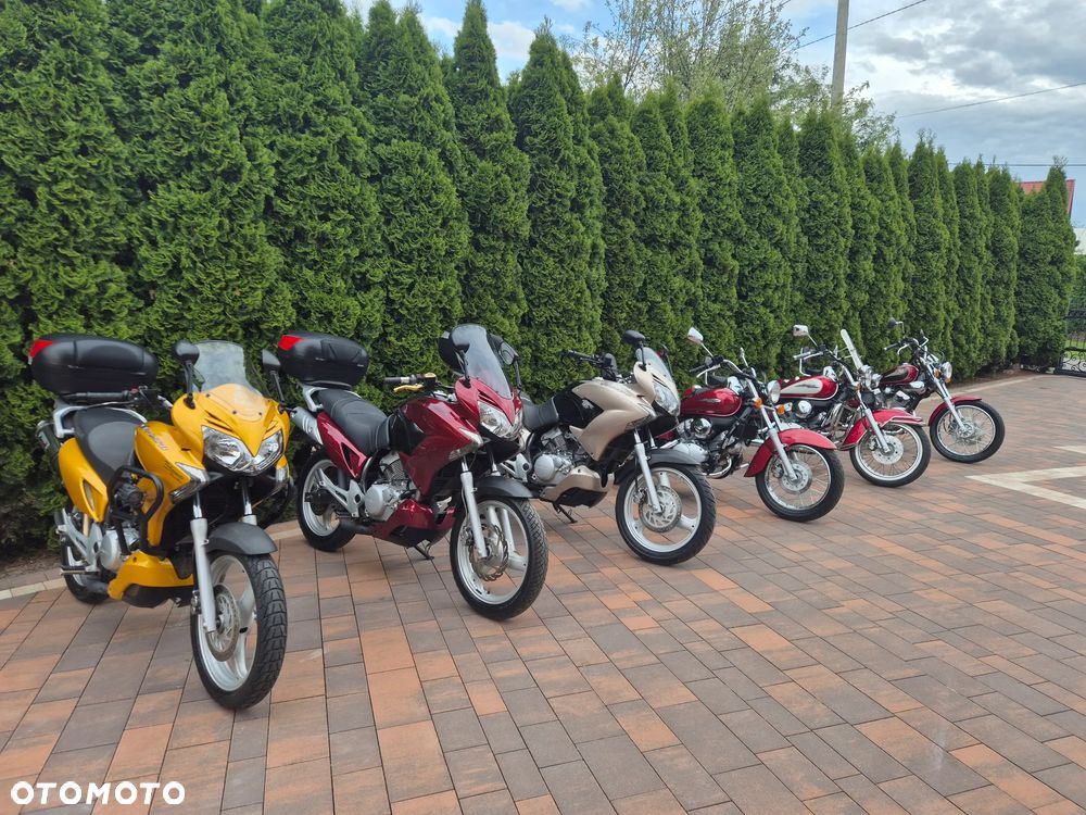 Honda Shadow - 18
