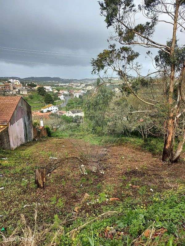 Terreno  para venda - Grande imagem: 2/5