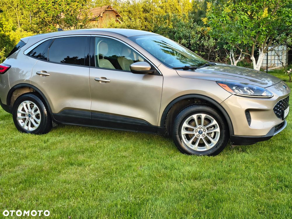 Ford Escape - 4
