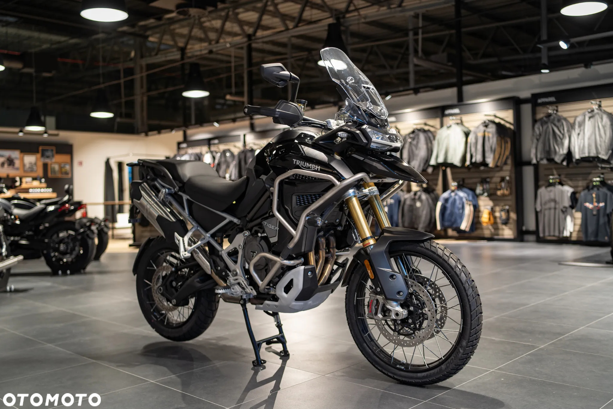 Triumph Tiger - 3