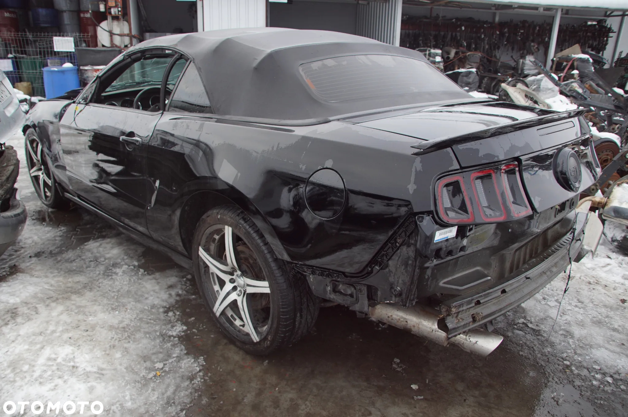 FORD MUSTANG 5.0 450KM 2014 CABRIO AUTO NA CZĘŚĆI 692324777 SKUP AUT MOTOCYKLI MASZYN ROLNICZYCH - 18