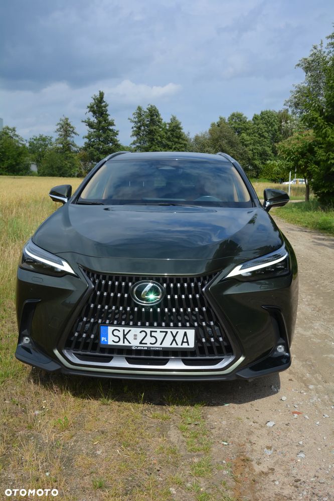 Lexus NX - 2