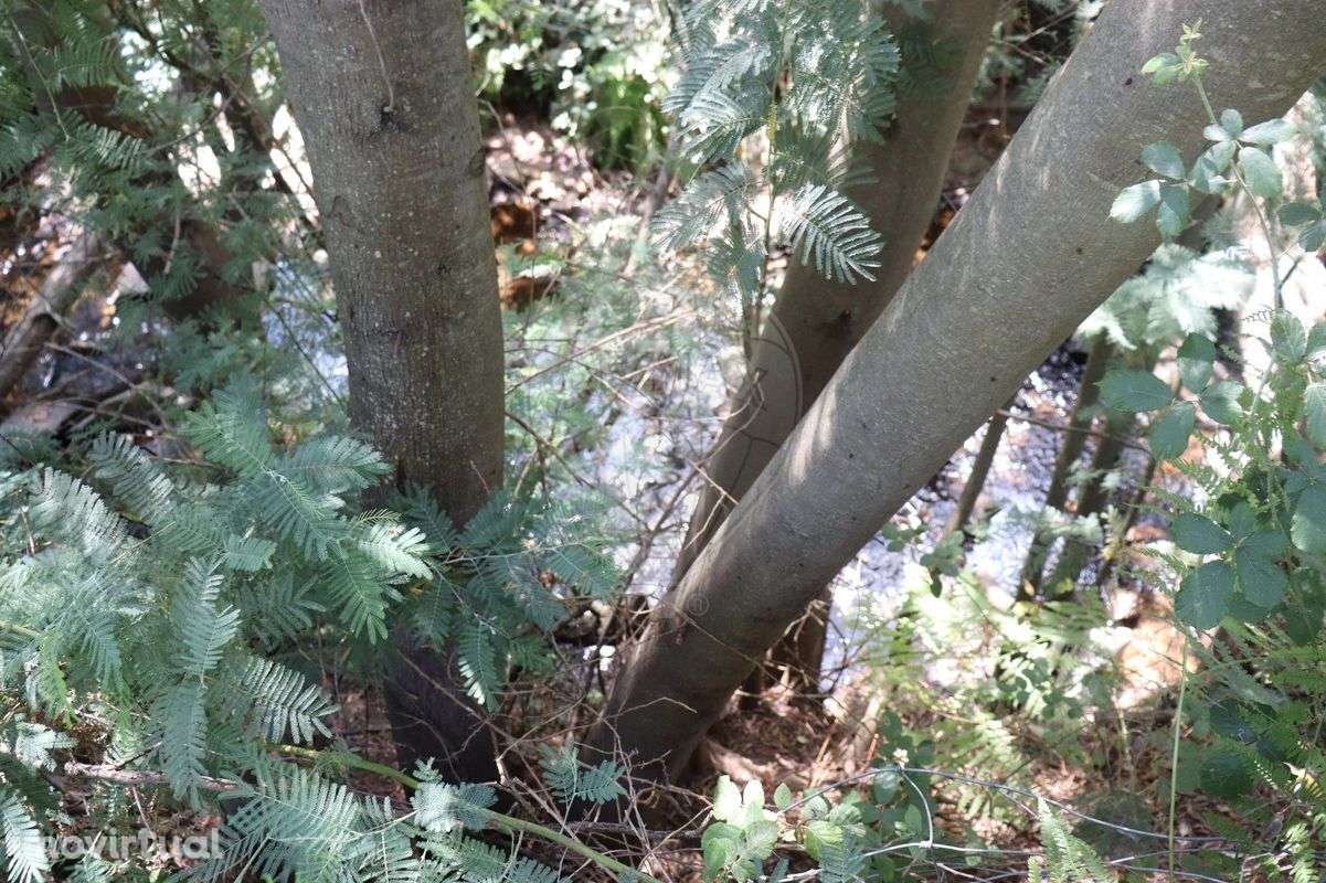 Terreno  para venda - Grande imagem: 2/11