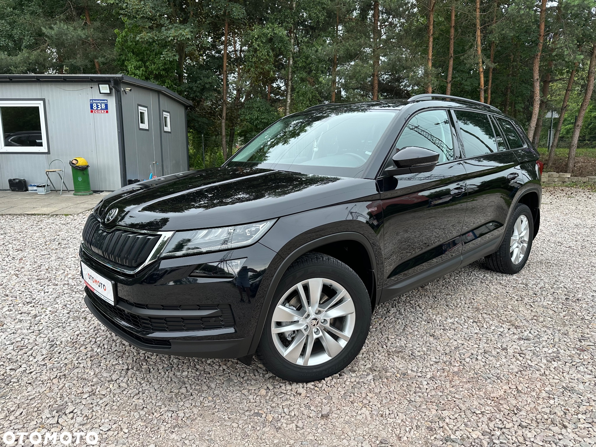 Skoda Kodiaq - 3