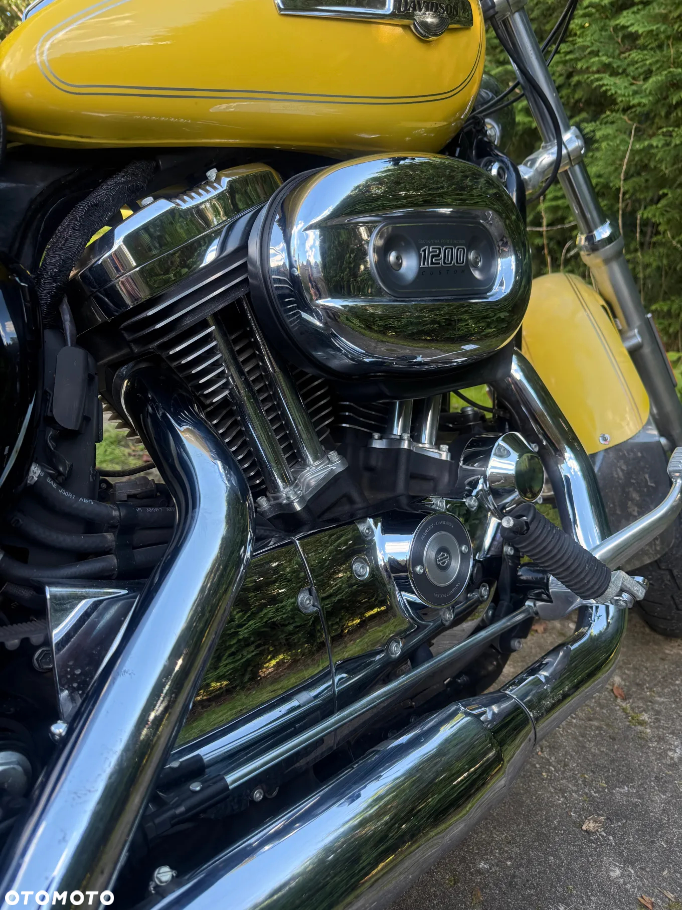 Harley-Davidson Sportster Custom 1200C - 13