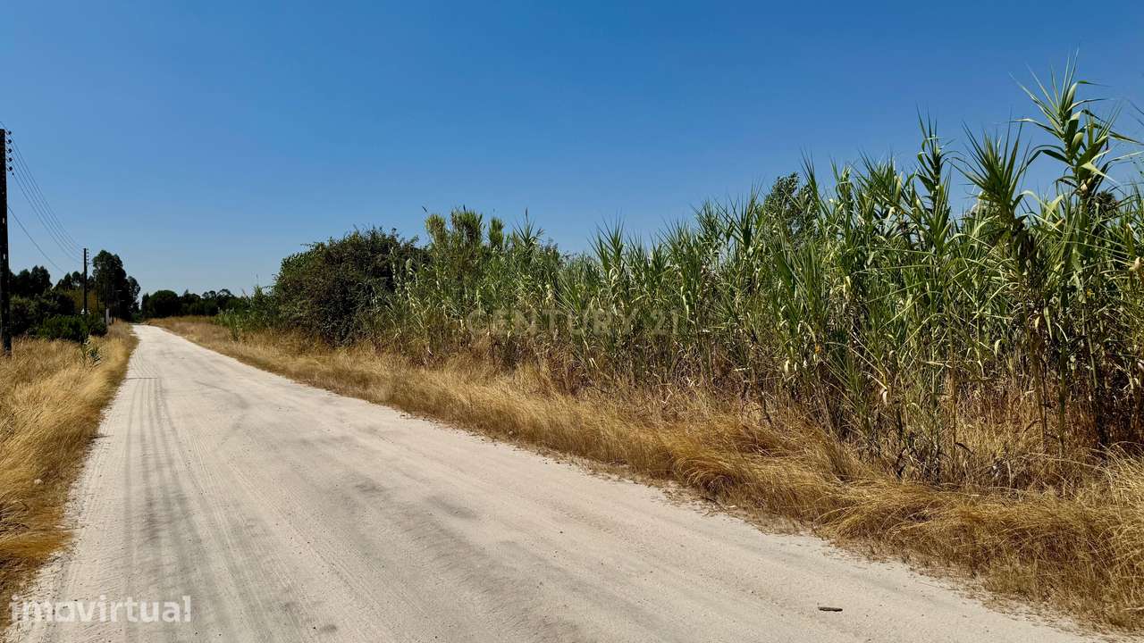 Terreno com 94.000 m2 na zona do Novo Aeroporto de Lisboa, Santo Estêv - Grande imagem: 3/23