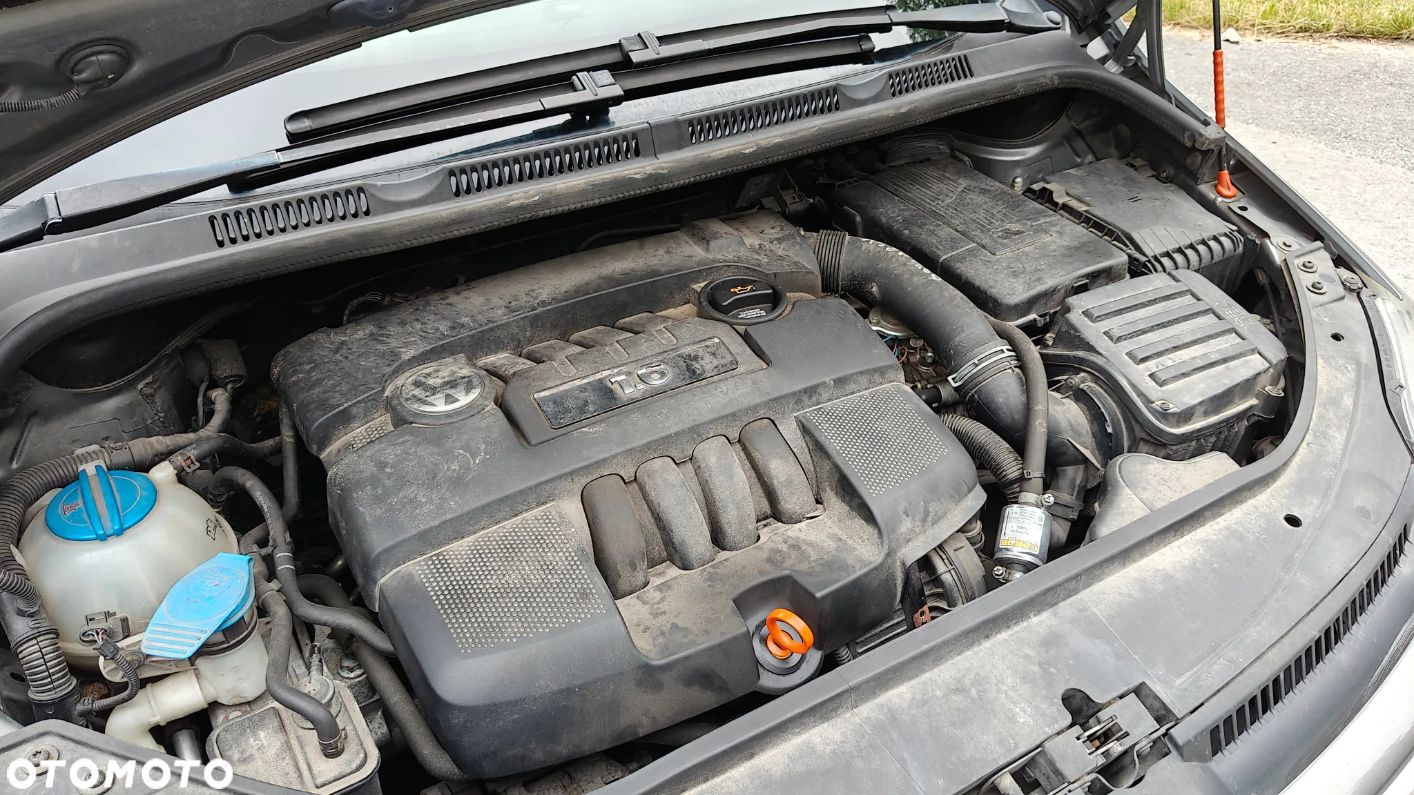 Volkswagen Golf Plus - 11