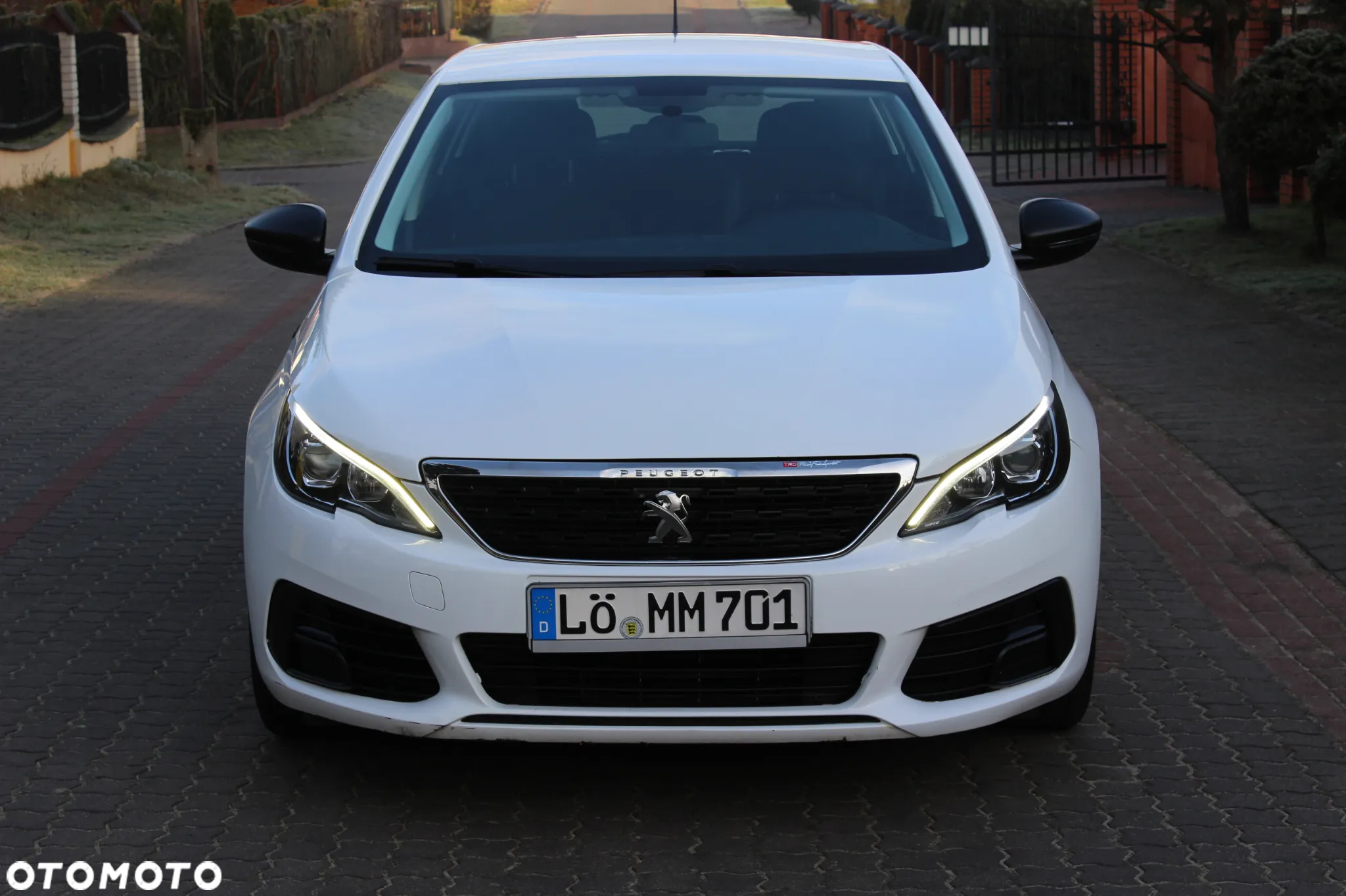 Peugeot 308 1.5 BlueHDi Active S&S - 24