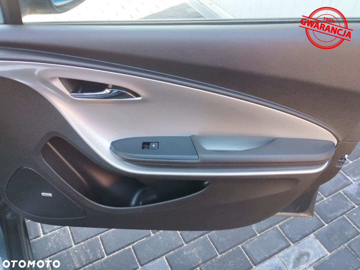 Opel Ampera - 31