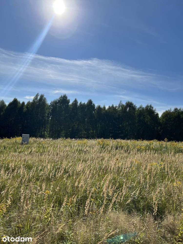 Piękna Działka budowlana bezpośrednio od właścicie - Pełny obrazek: 2/16