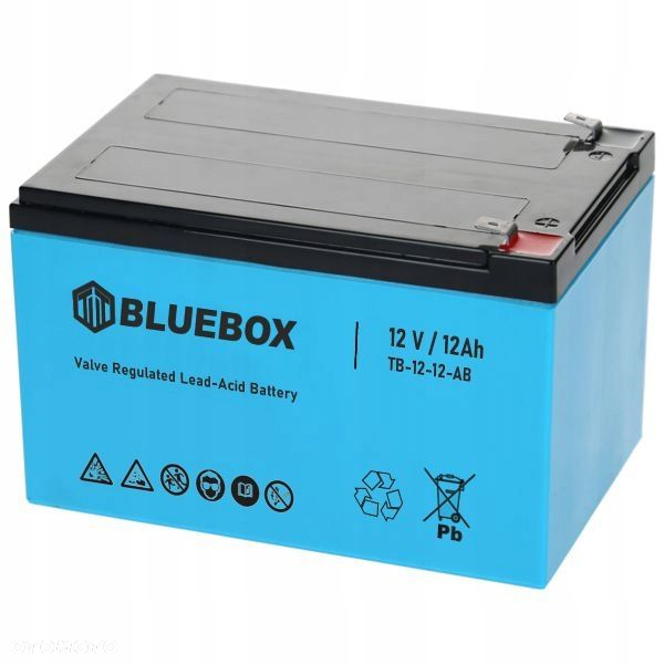 Akumulator BLUEBOX VRLA AGM 12V 12Ah 150x98x100 - 4