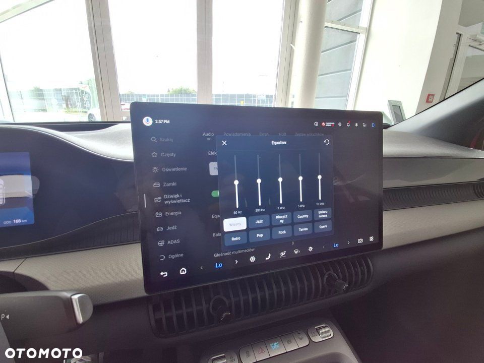 BYD Dolphin G - 27
