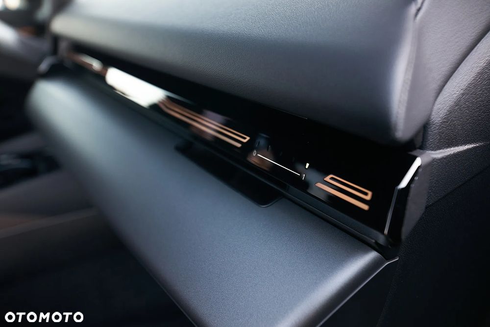 BMW Seria 5 520i mHEV - 19