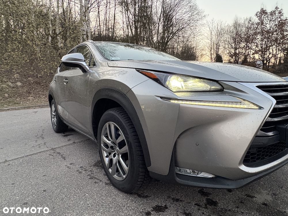 Lexus NX 300h Comfort AWD - 4
