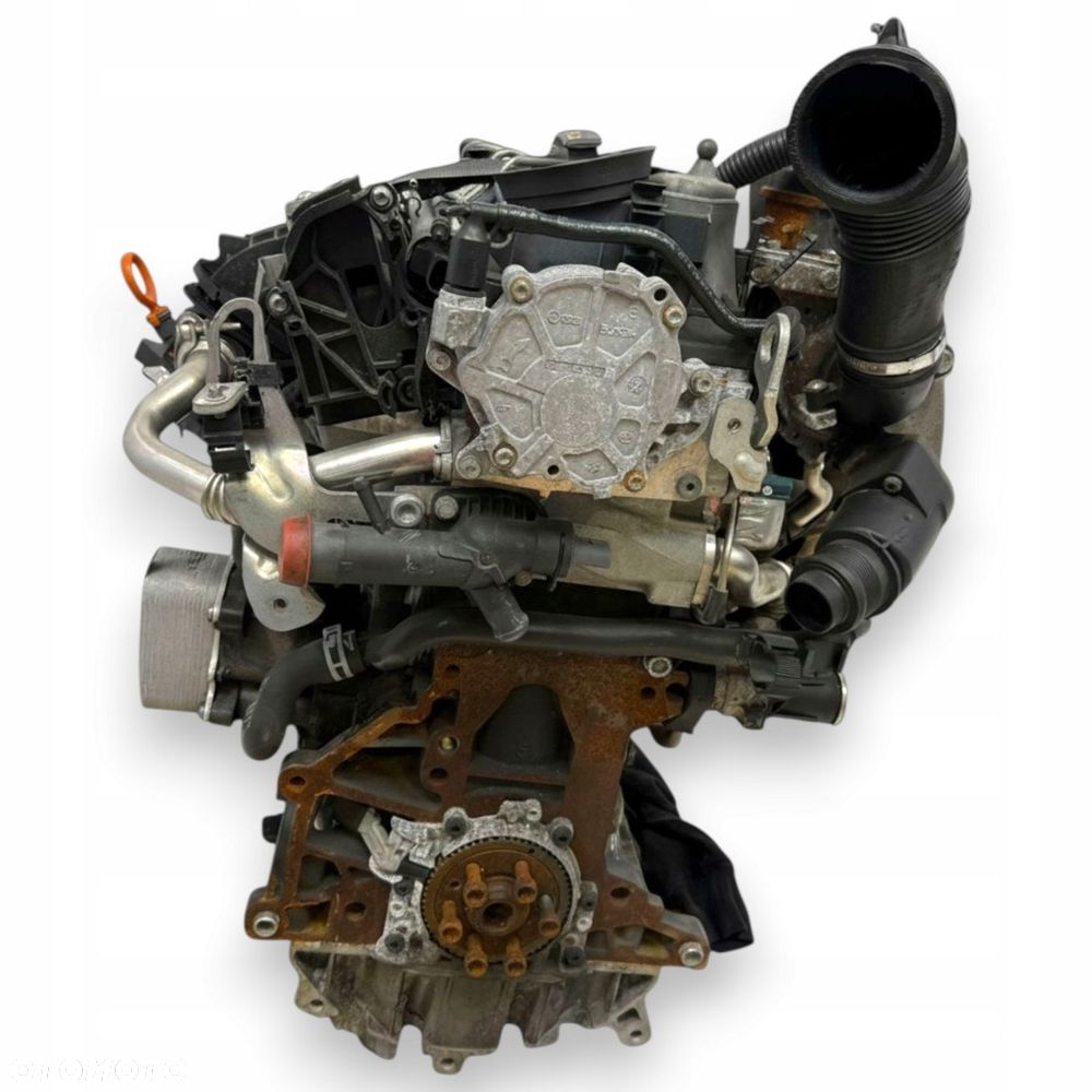 SILNIK CAY VW New Beetle Jetta III Audi A1 8X A3 8P1 1.6 TDI diesel CAYC - 7