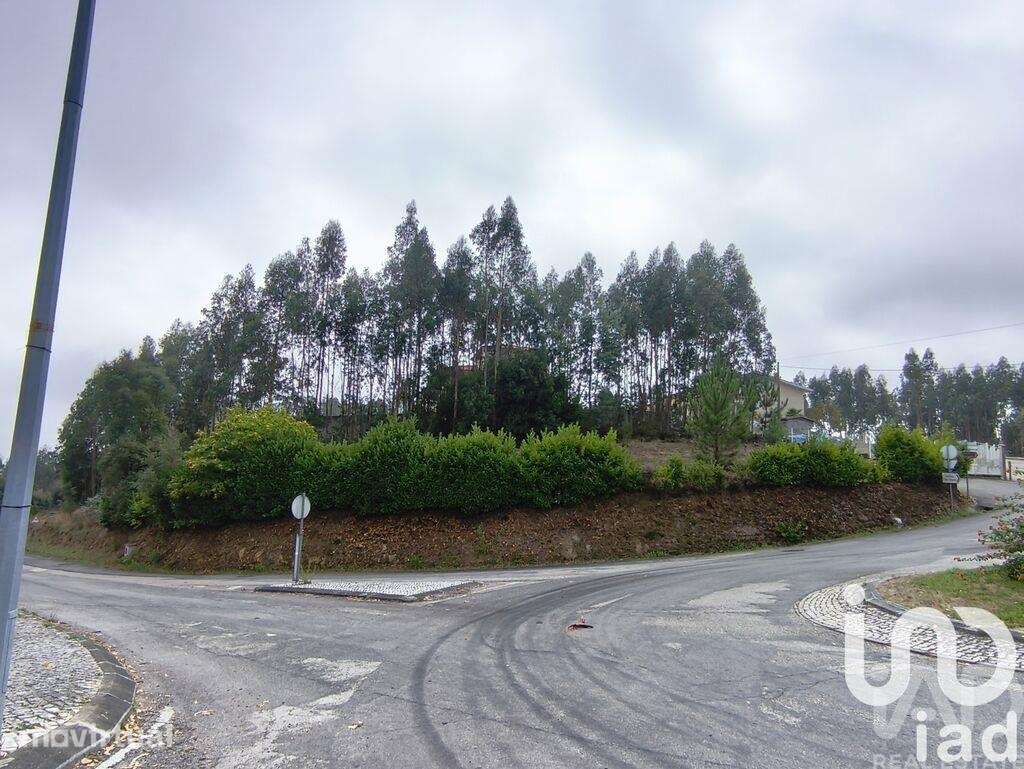 Terreno para construção em Semide e Rio Vide - Grande imagem: 3/24