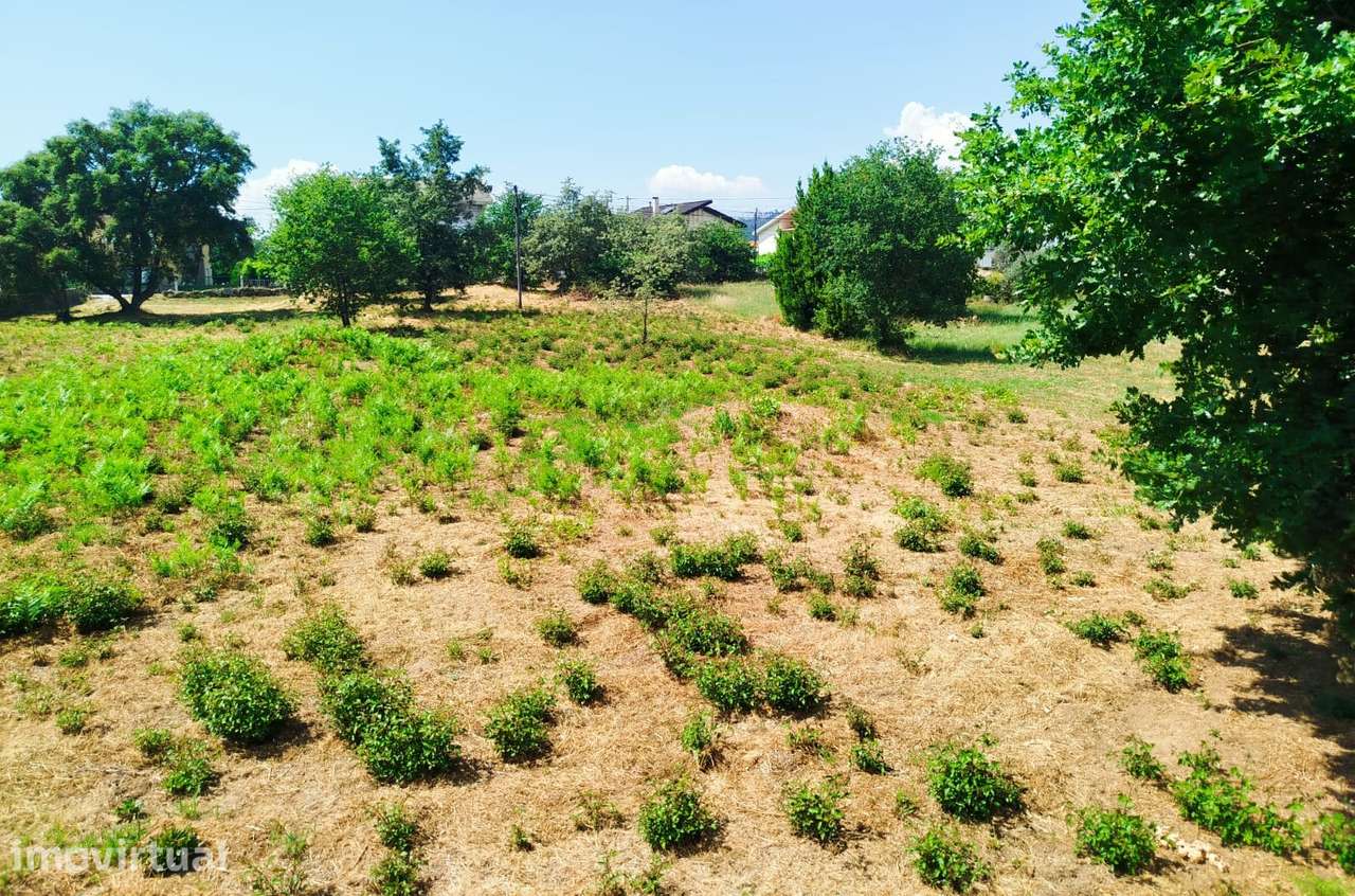 Terreno Para Construção - Orgens - Viseu - Grande imagem: 2/6