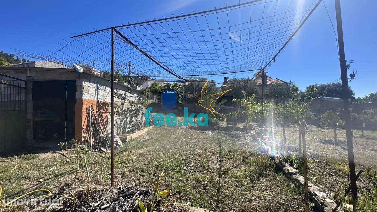 Quintinha em Monfortinho - Grande imagem: 5/36