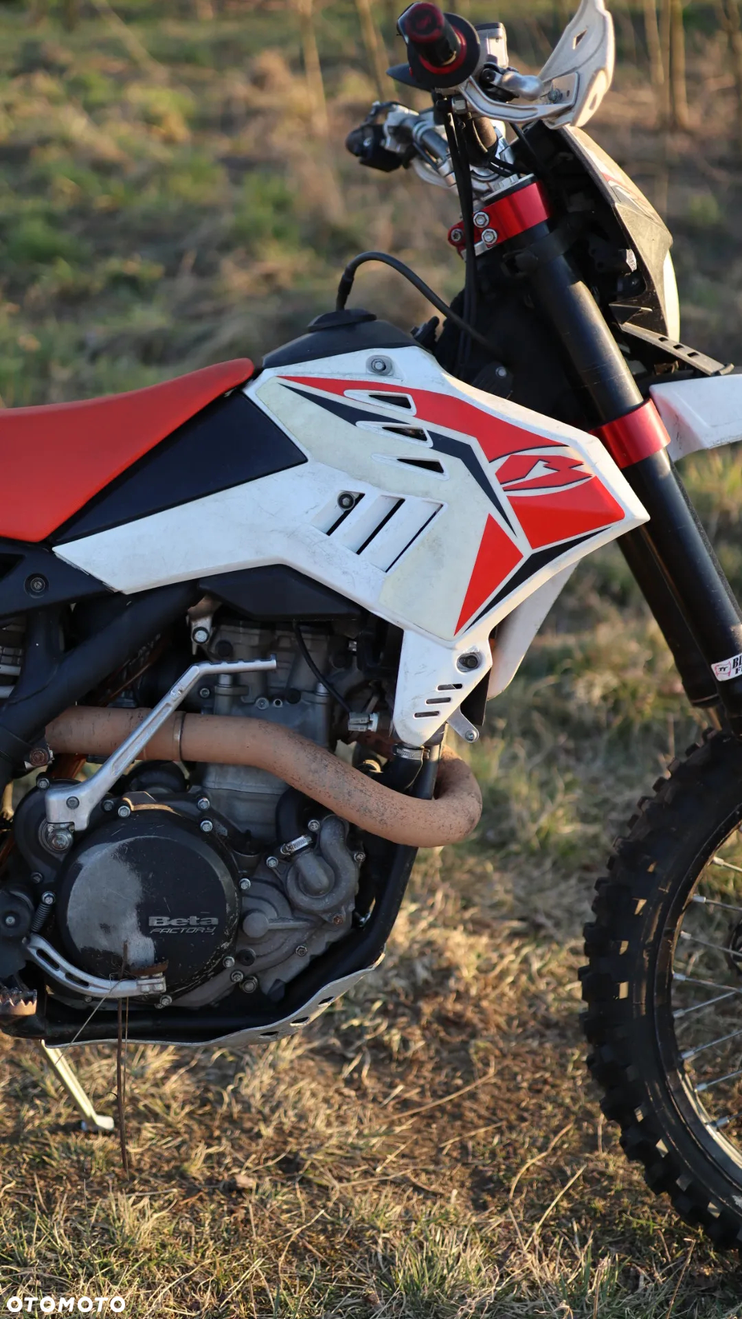 Beta RR