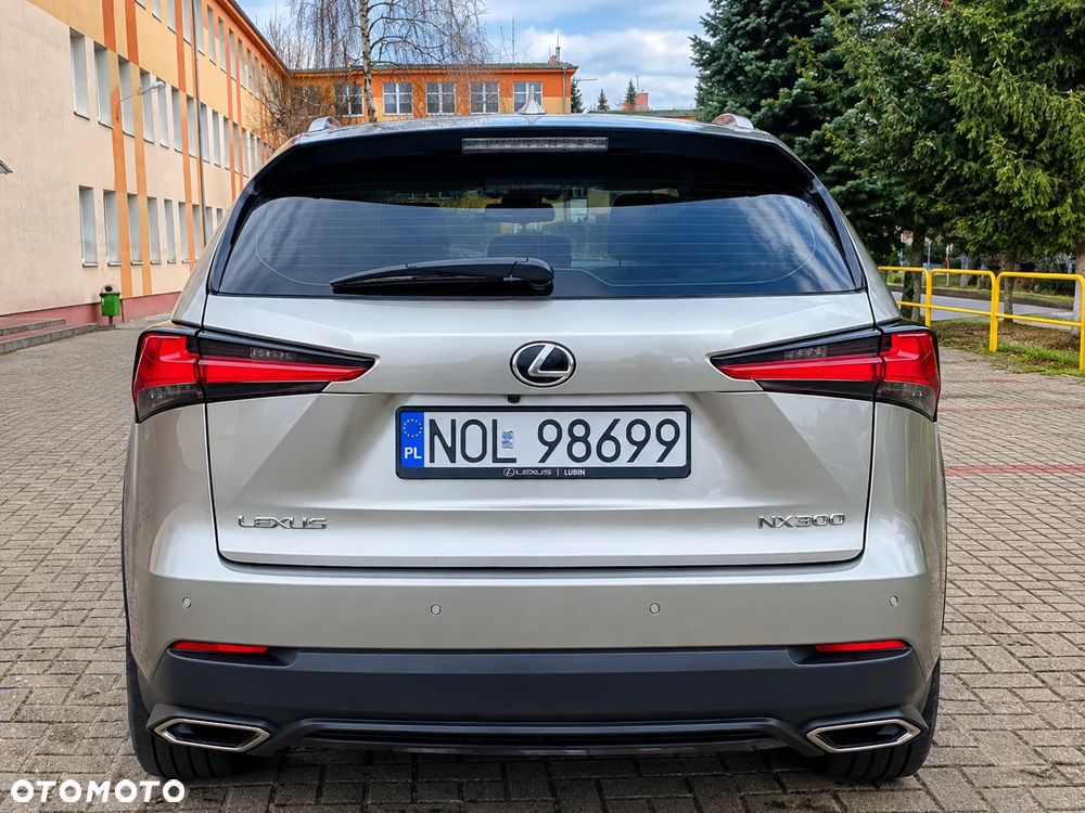 Lexus Nx 2019 photo 4