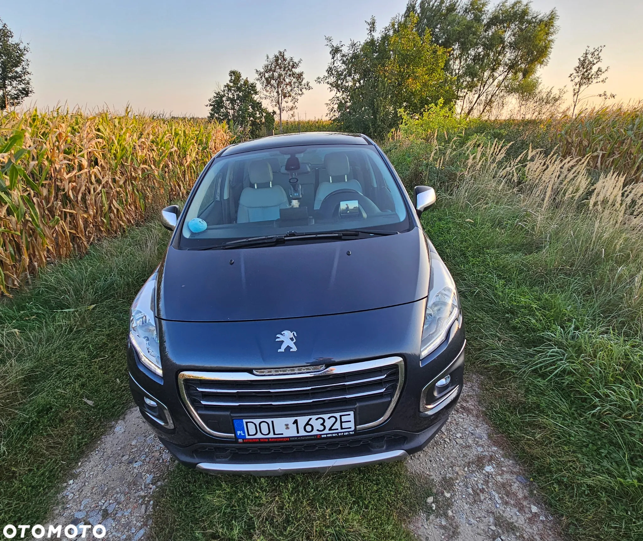 Peugeot 3008 - 2