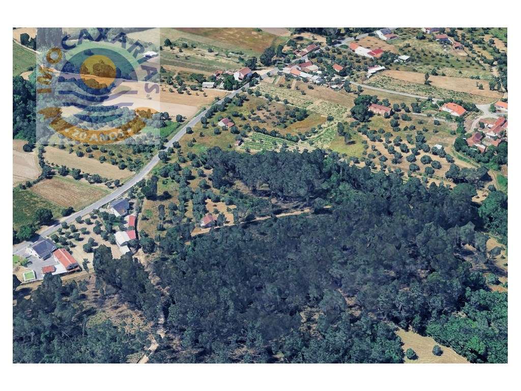 Terreno Amplo em Caxarias - 7.800 m² de Natureza e Potencial - Grande imagem: 2/3
