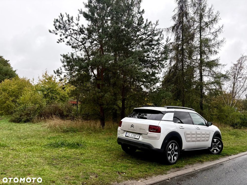 Citroën C4 Cactus PureTech 110 Stop&Start Shine - 21
