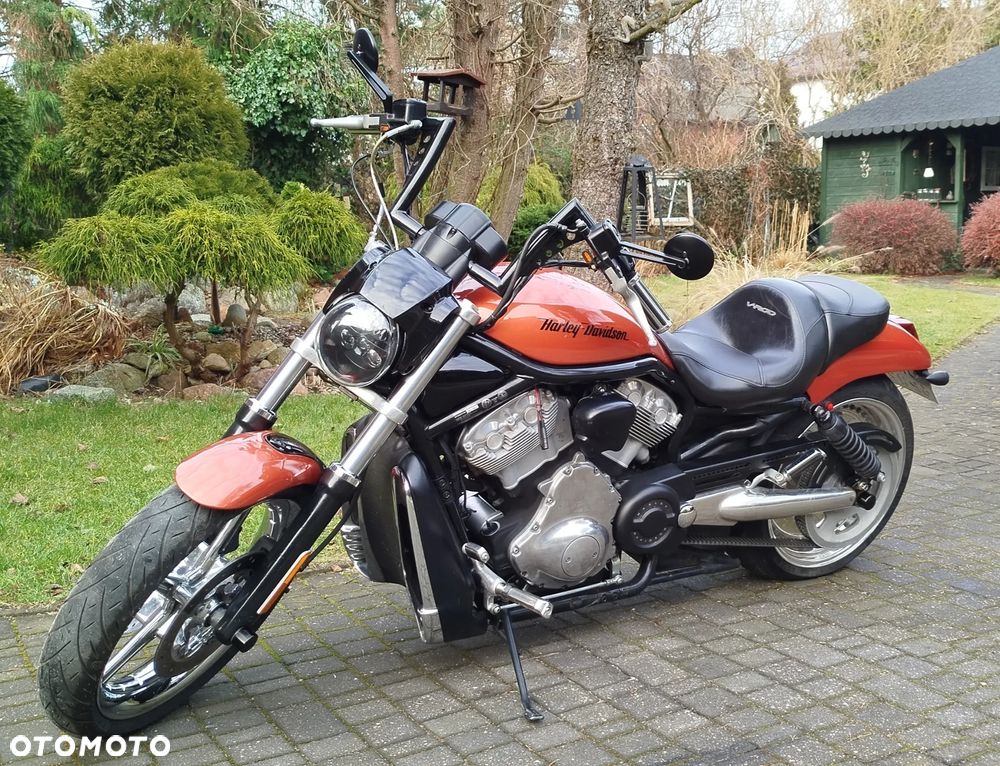 Harley-Davidson Softail V-Rod - 11