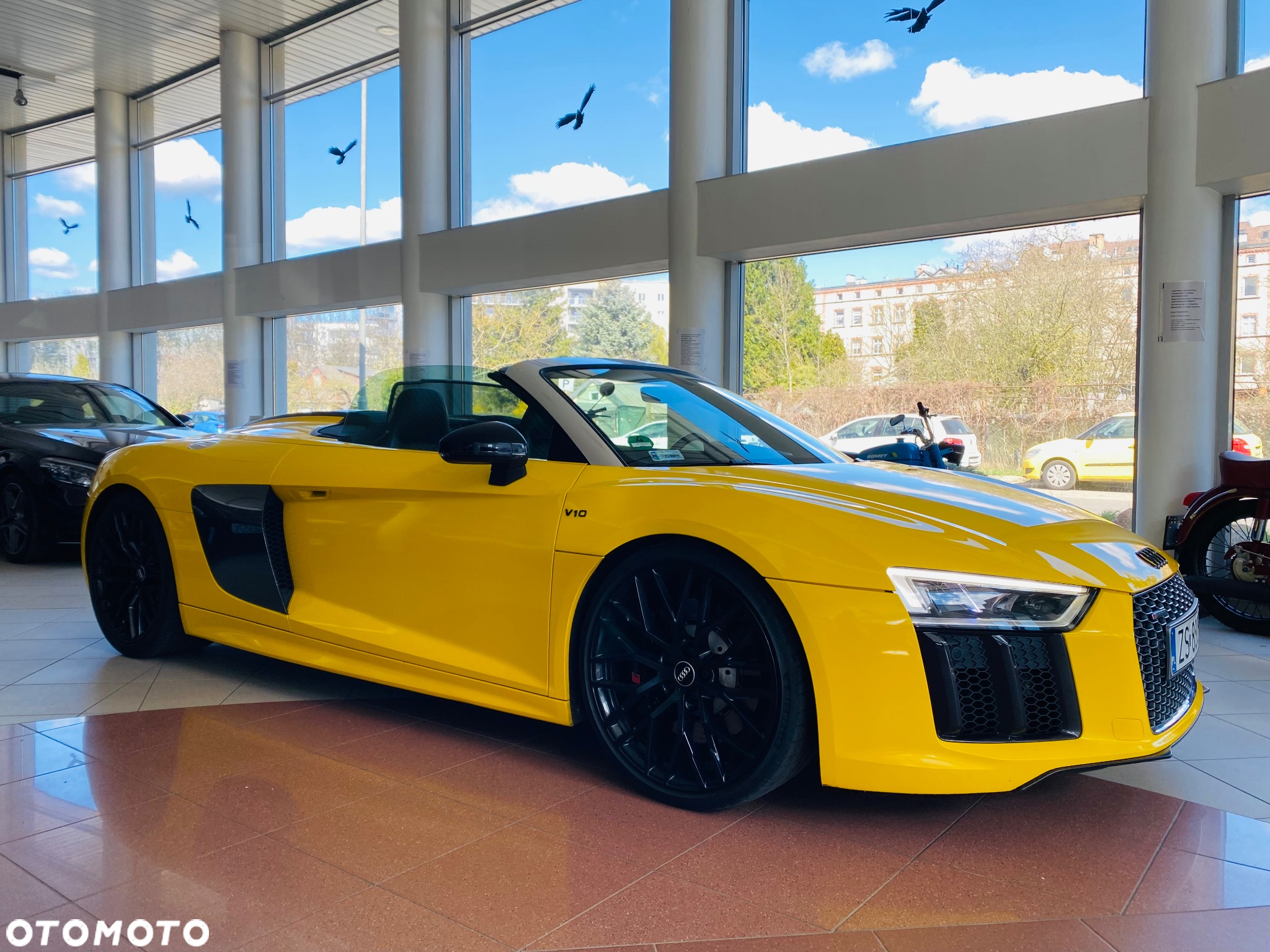 Audi R8 5.2 FSI Quattro - 18