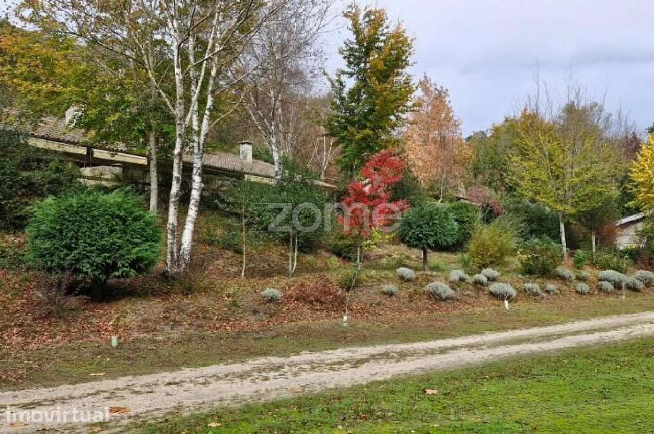Aldeamento Turístico em Campo Gerês ( Excelente investimento) - Grande imagem: 5/46