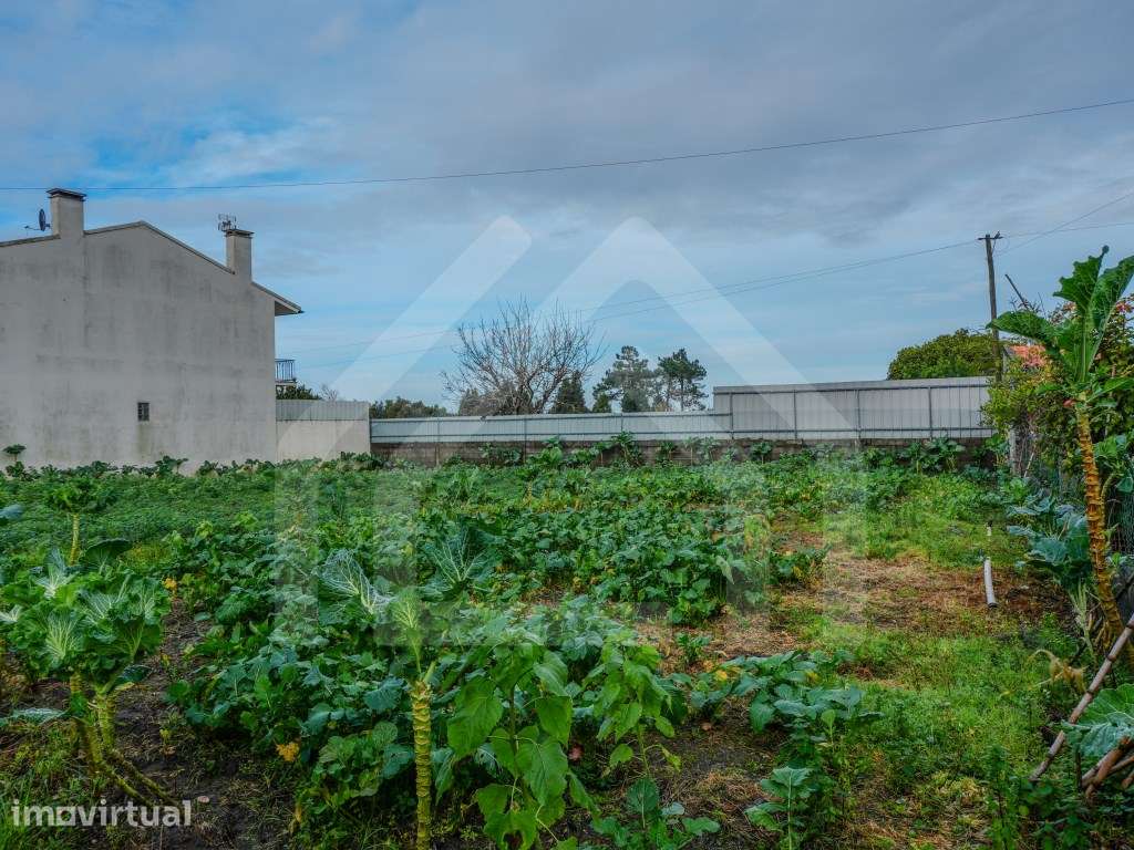 Terreno em Arazede - Grande imagem: 2/6