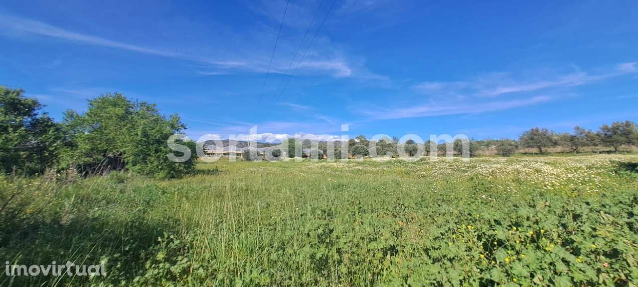 Terreno Rústico  Venda em Conceição e Estoi,Faro - Grande imagem: 2/7