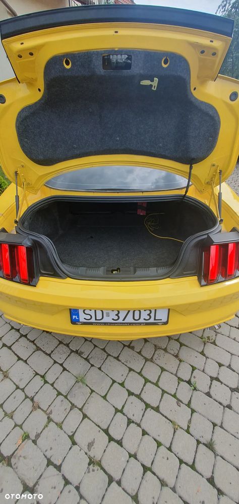 Ford Mustang - 14