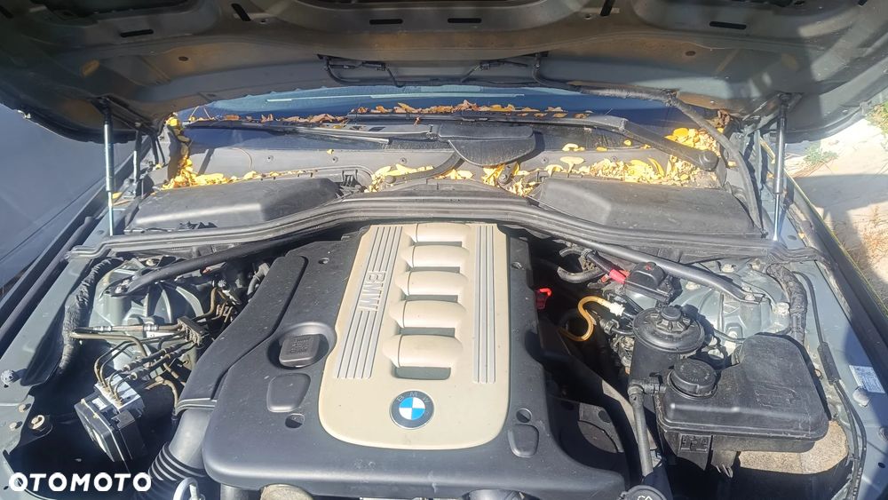 BMW Seria 5 2004 photo 5