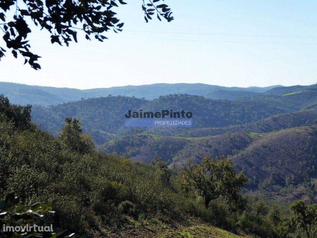 170HA com cortiça e casa na Serra do Caldeirão. Portugal. Alentejo,... - Grande imagem: 3/9