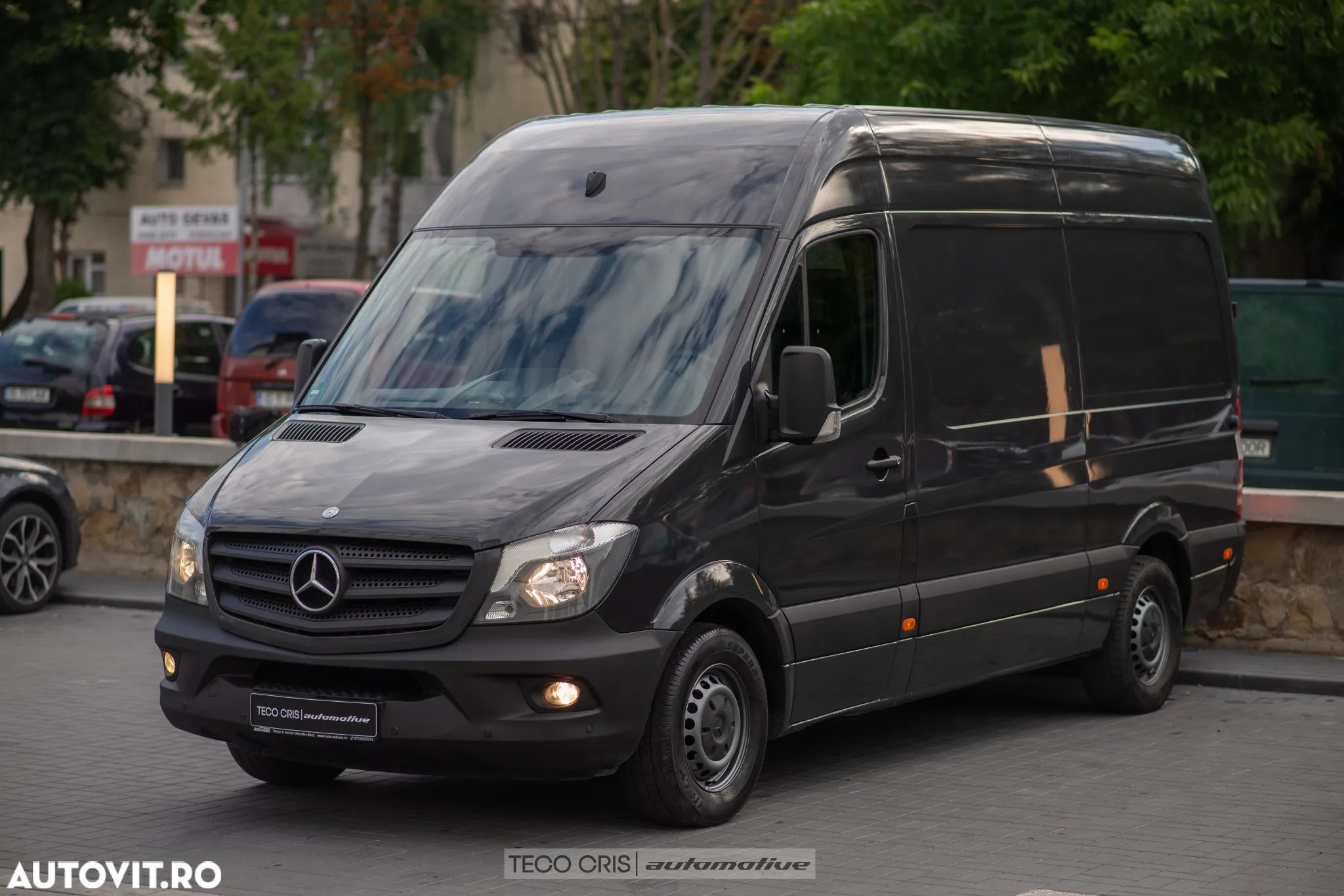 Mercedes-Benz Sprinter 313 CDI (BlueTec) 906.235 - 1