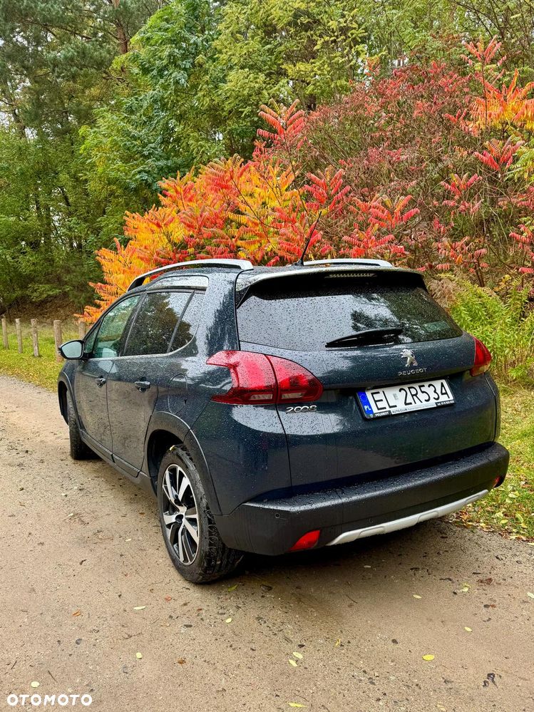 Peugeot 2008 - 5